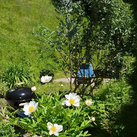 Ferienhaus Nock Berge